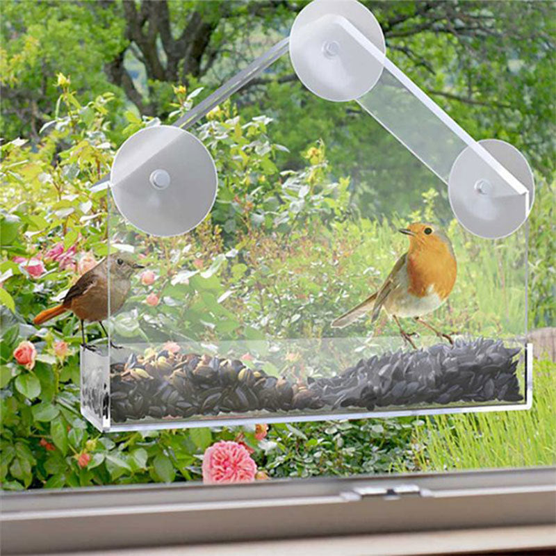 Wild bird visiting a transparent suction-cup window feeder