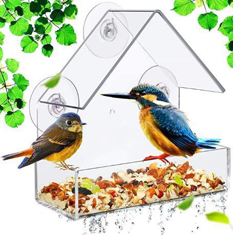 Transparent window bird feeder for close-up birdwatching