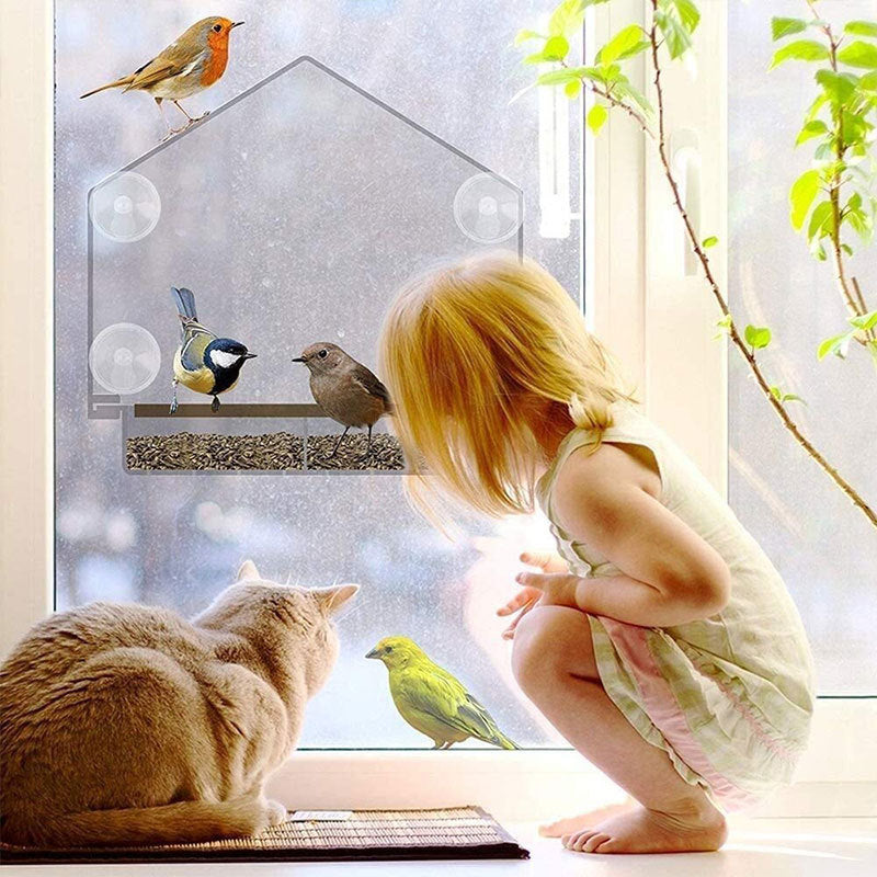Clear acrylic house-shaped window bird feeder mounted on glass