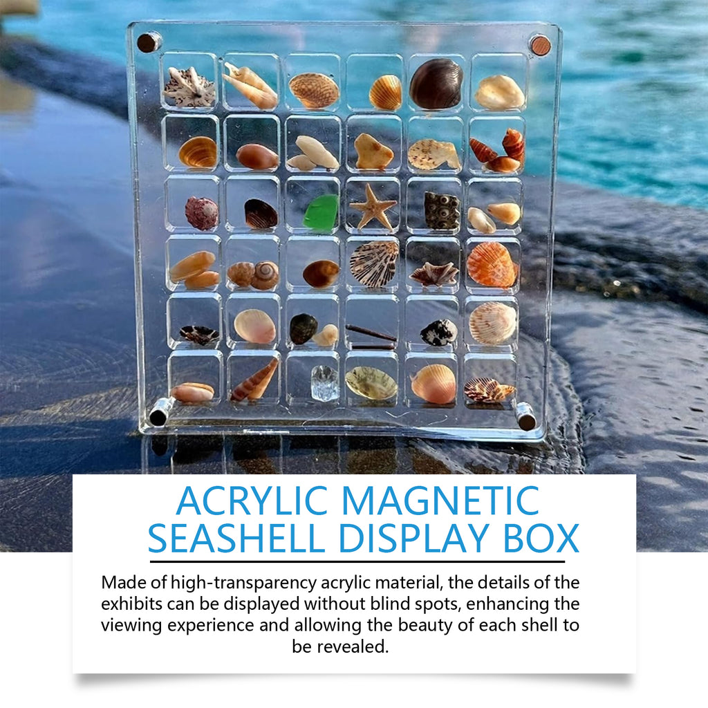 Clear 36-grid acrylic magnetic seashell display box with small shells