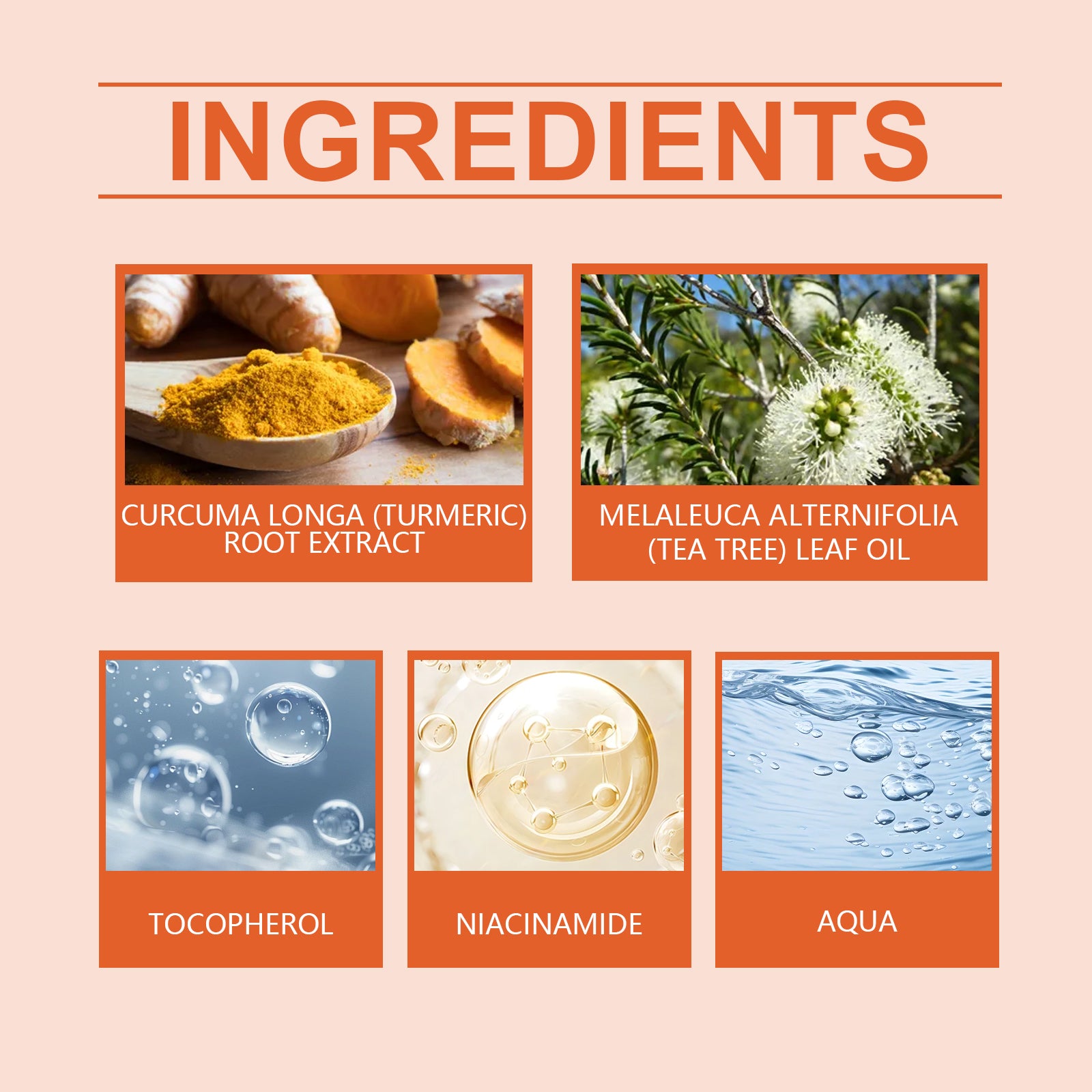 West Month Turmeric Face Cream featured ingredients