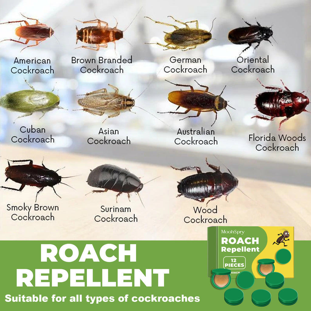 MoonSpry Roach Repellent Bait Stations - 12 Pack