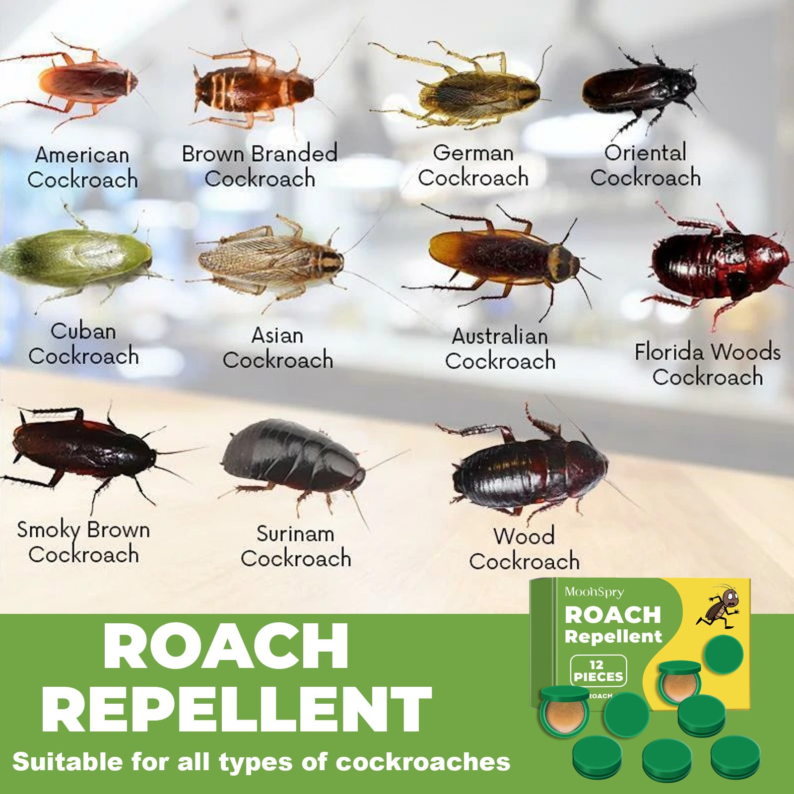 MoonSpry Roach Repellent Bait Stations - 12 Pack